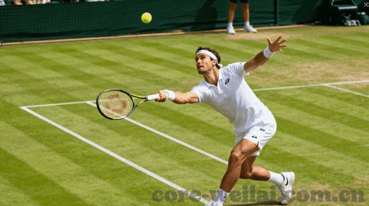 永利娱乐场网站地址-永利娱乐，探索线上娱乐的新领域
